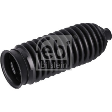 198473 Faltenbalgsatz, Lenkung