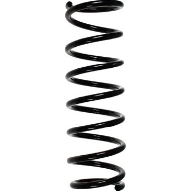 Spidan | Fahrwerksfeder | 55376
