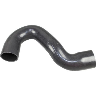 2400434 Ladeluftschlauch
