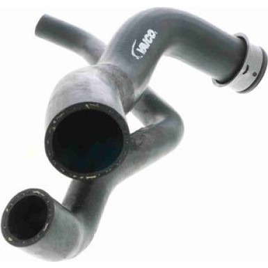 Vaico | Kühlerschlauch | V30-1769