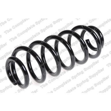 4282921 Fahrwerksfeder