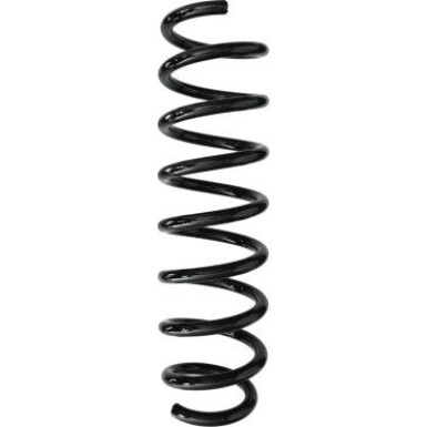 Spidan | Fahrwerksfeder | 87963