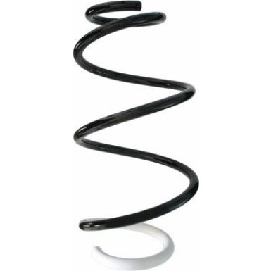 Spidan | Fahrwerksfeder | 87877 Spidan | Fahrwerksfeder | 87877