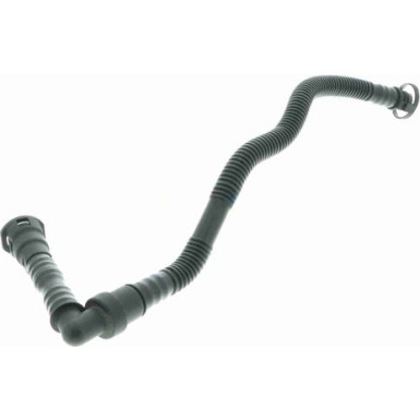 V20-1800 Schlauch, Zylinderkopfhaubenentlüftung Original VAICO Qualität V20-1800 Schlauch, Zylinderkopfhaubenentlüftung Original VAICO Qualität