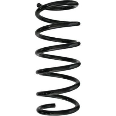 Spidan | Fahrwerksfeder | 87546