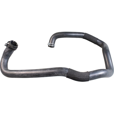 2421649 Kühlerschlauch 2421649 Kühlerschlauch