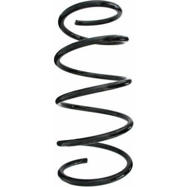 Spidan | Fahrwerksfeder | 55613