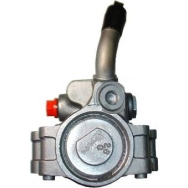 Spidan | Hydraulikpumpe, Lenkung | 54253