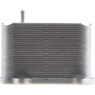 Mahle | Ölkühler, Motoröl | CLC 156 000S