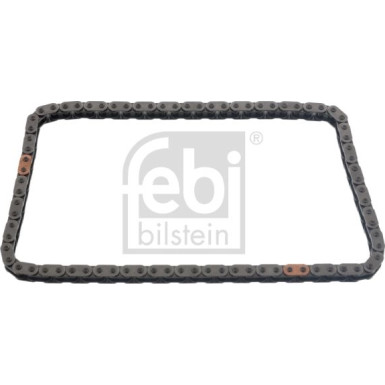 FEBI BILSTEIN 48573 Steuerkette