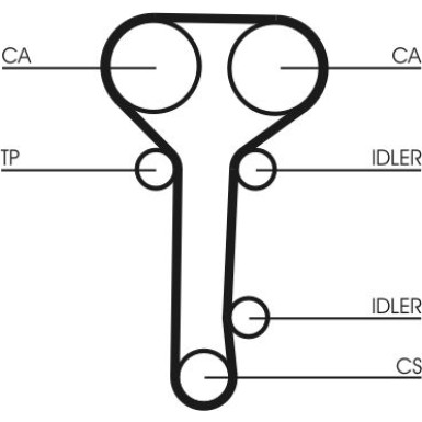 CT978 Zahnriemen