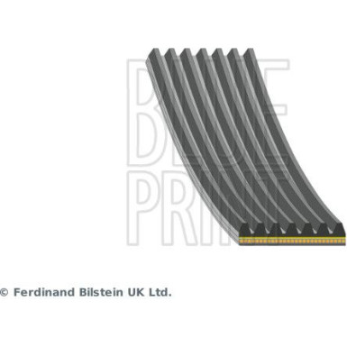Blue Print | Keilrippenriemen | AD07R1065