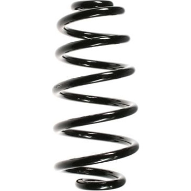 Spidan | Fahrwerksfeder | 56853