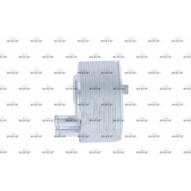 NRF | Ölkühler, Motoröl | 31353