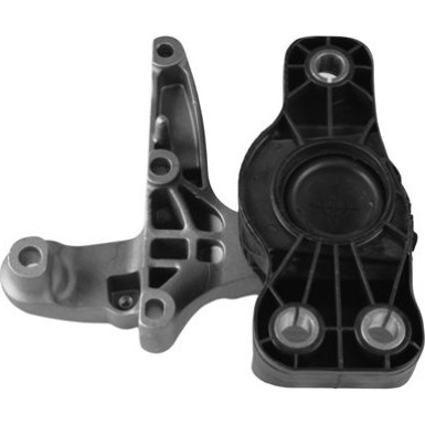 Tedgum | Lagerung, Motor | TED50849