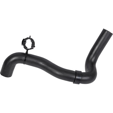 2420020 Kühlerschlauch