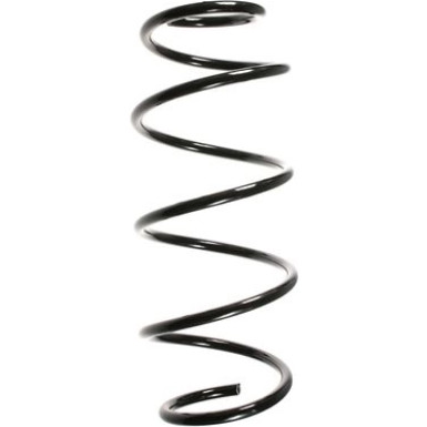 Spidan | Fahrwerksfeder | 49618
