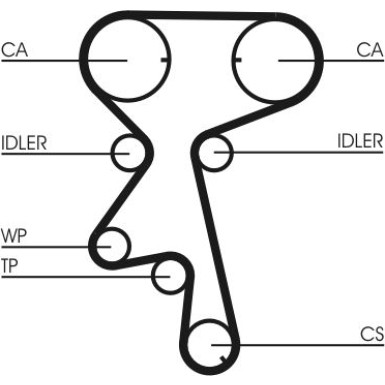 CT873WP1 Wasserpumpe + Zahnriemensatz
