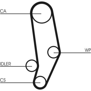 CT704WP1 Wasserpumpe + Zahnriemensatz