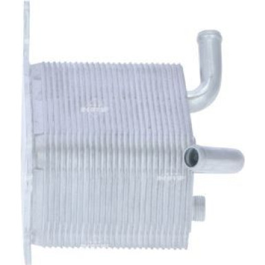 NRF | Ölkühler, Automatikgetriebe | 31747