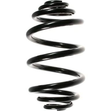 Spidan | Fahrwerksfeder | 55954