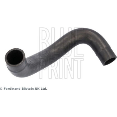 Blue Print | Kühlerschlauch | ADBP930011