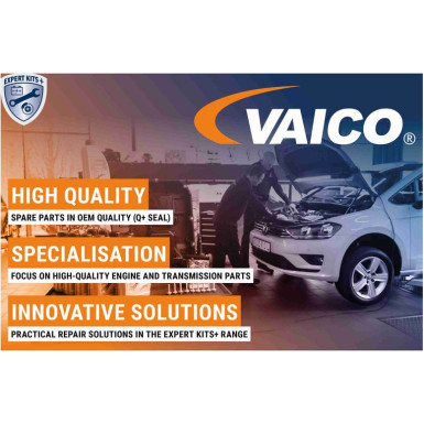 V20-0097-1 Verschlussdeckel, Kühlmittelbehälter Original VAICO Qualität