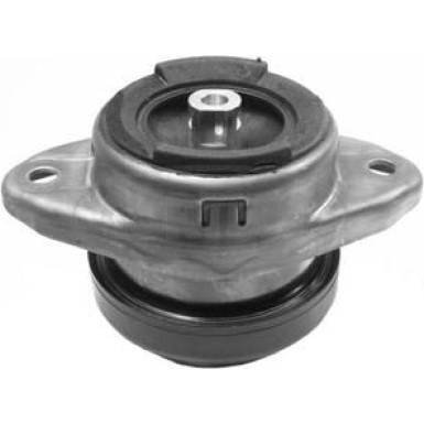 Corteco | Lagerung, Motor | 80000041