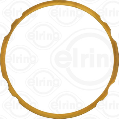 Elring | Dichtung, Zylinderlaufbuchse | 753.719