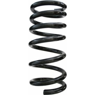 Spidan | Fahrwerksfeder | 55788