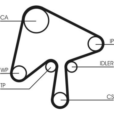 CT1136WP1 Wasserpumpe + Zahnriemensatz