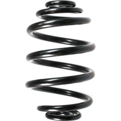 Spidan | Fahrwerksfeder | 49164