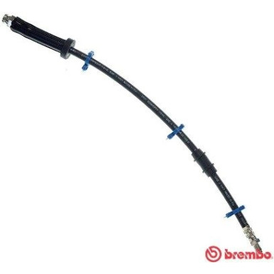 Brembo | Bremsschlauch | T 61 066