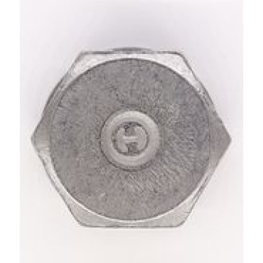 220125S Verschlussschraube, Ölwanne