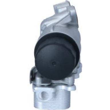 NRF | Ölkühler, Motoröl | 31351