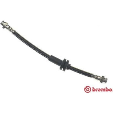 Brembo | Bremsschlauch | T 23 019