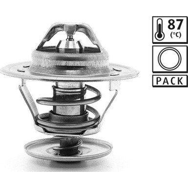 819868 Thermostat, Kühlmittel