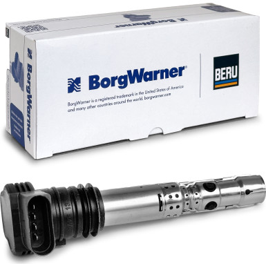 BorgWarner (BERU) Zündspule ZSE043
