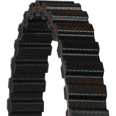 CT833 Zahnriemen CT833 Zahnriemen
