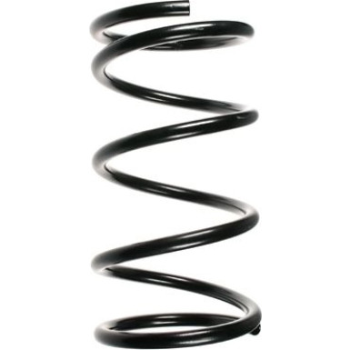 Spidan | Fahrwerksfeder | 55349