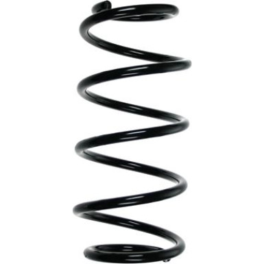 Spidan | Fahrwerksfeder | 55983