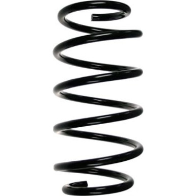 Spidan | Fahrwerksfeder | 55113