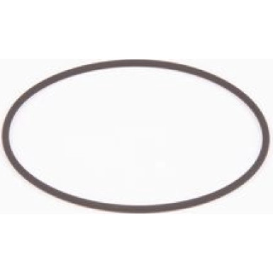 BOSCH | Dichtring | F 01M 100 371