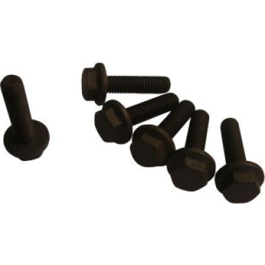 MS22 Schraubensatz, Riemenscheibe-Kurbelwelle