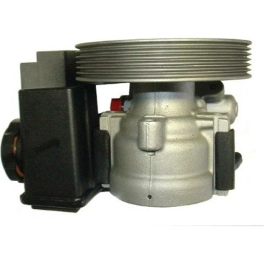 Spidan | Hydraulikpumpe, Lenkung | 53928