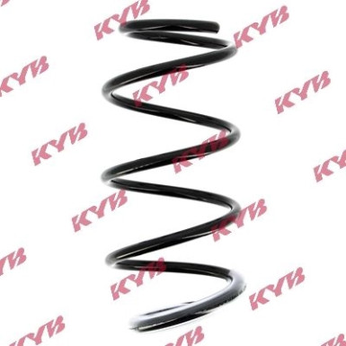 RG1001 Fahrwerksfeder K-Flex