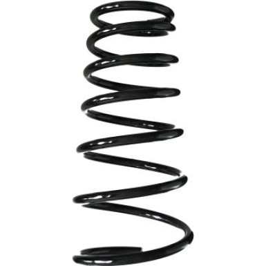 55538 Fahrwerksfeder