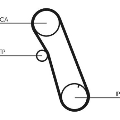 CT616 Zahnriemen