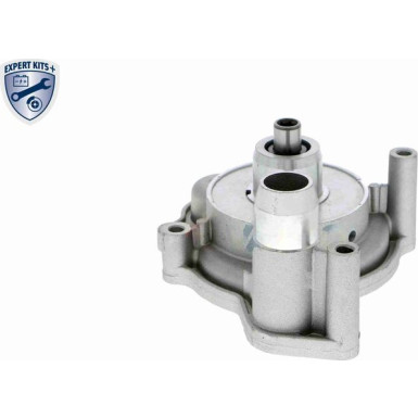 V10-50063 Wasserpumpe, Motorkühlung EXPERT KITS +