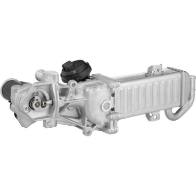 710861D AGR-Modul OE-Version/Erstausrüstung